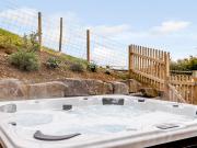 Top Llanfair Caereinion