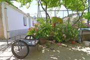 Top Veli Lošinj