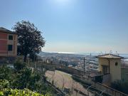 Top Genoa