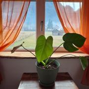 Top Podu Dîmboviţei