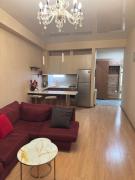 Comfortable Apartment In Tbilisi