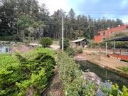 Top Alishan