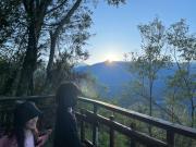 Top Alishan