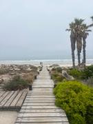 Top Stompneusbaai