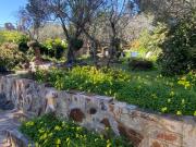 La Caseta de Cadaqués