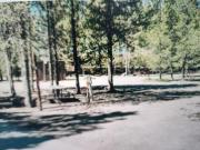 Top Island Park