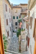 Top Kotor