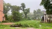 Top Datia