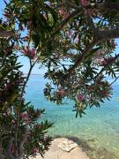 Top Starigrad-Paklenica