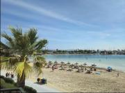 Top Alcudia