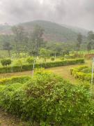 Top Araku