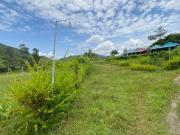 Top Araku