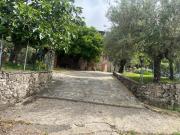 Top Poggioni