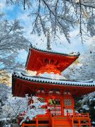 Top Hiroshima