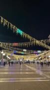 Top Venice