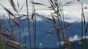 Top Mussoorie