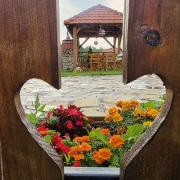 Top Zlatibor