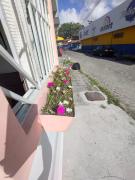 Top Porto Seguro