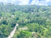 Top Phu Quoc