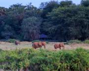 Top Buffalo Springs National Reserve