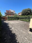Top Anzio