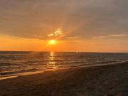 Top Anzio