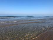 Top Anzio