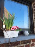 le Repaire des Loups