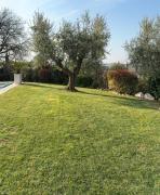 Top Padenghe sul Garda