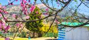 Top Nainital
