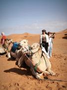 Top Merzouga