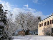 Top Collegiglioni