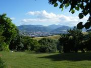 Top Collegiglioni