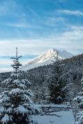 Top Seward