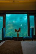 Top Mussoorie