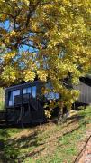 Nomad Hill Cabins