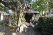 Top Cochin
