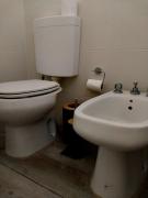 Top San Nicolás de los Arroyos