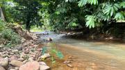 I-NAI Greenville Janda Baik