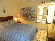 Club La Costa Hotel Zone Beautiful 1 Bedroom Condo Across From The Beach