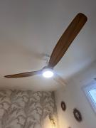 Top Lunel