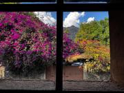Top Tepoztlán