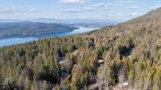 Top Whitefish