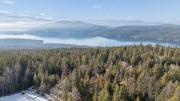 Top Whitefish