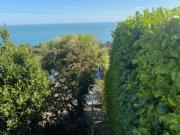 Top Ventnor