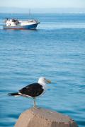 Top St Francis Bay
