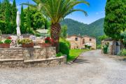Top Pescia