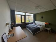 Het Huis van Bewustzijn