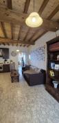 Top Camaiore