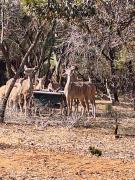 Top Hartbeespoort